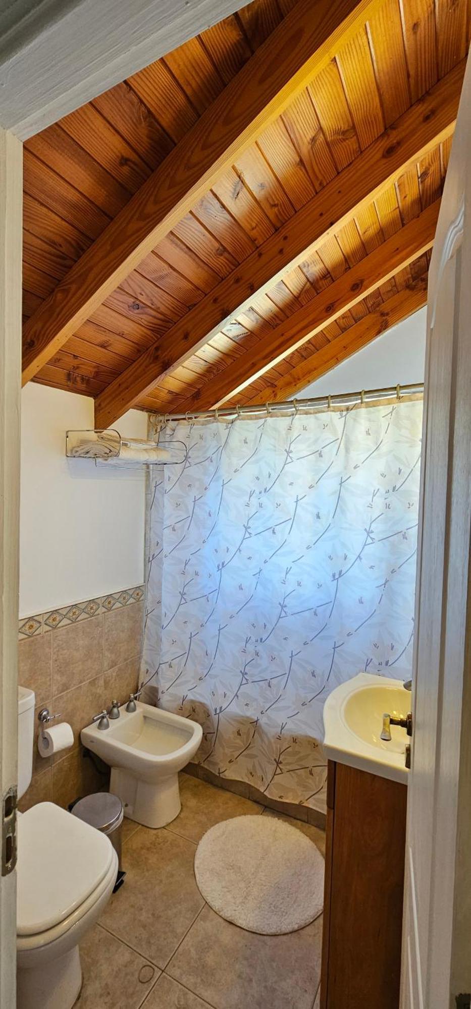 Departamentos Mirador Del Maipu Apartment San Martin de los Andes Ngoại thất bức ảnh
